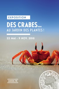 Aff-Crabes-40x60.indd