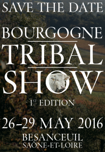 Bourgogne-Tribal-Art-Show-Delvoyeurs
